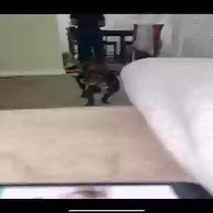 lost male dog charcoal