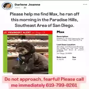 lost male dog max