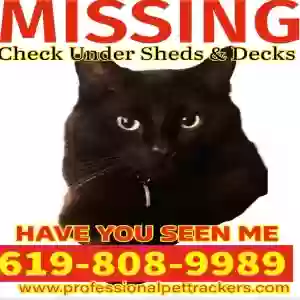 lost male cat bug