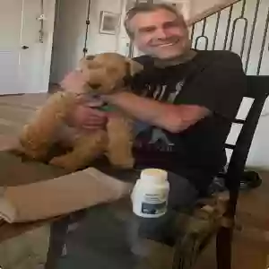lost female dog missy
