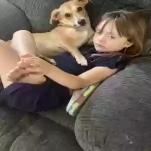 lost female dog molly
