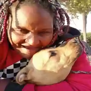 lost male dog b.a