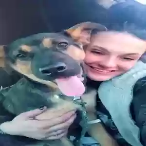 lost female dog gia