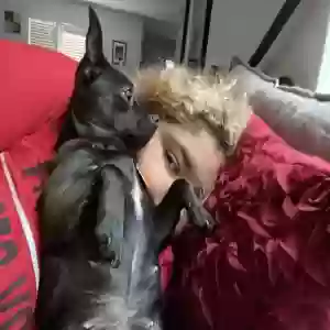 lost female dog princess
