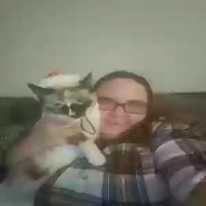 lost female cat senora