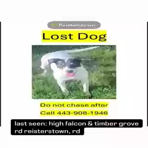 lost female dog mochi