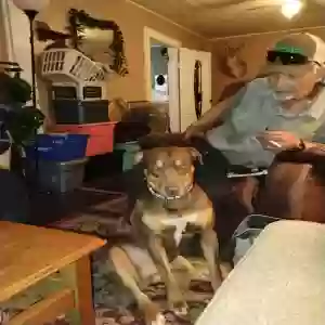 lost male dog unknown