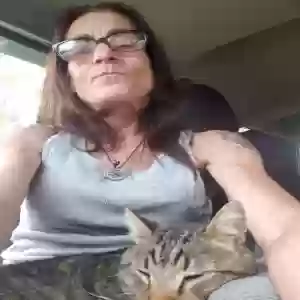 lost male cat widdle nick name kid