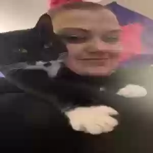 lost female cat luna