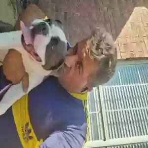 lost male dog max