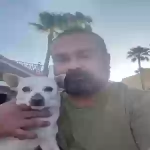 lost male dog güero