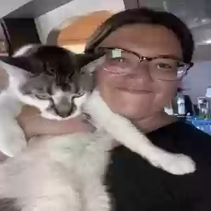 found male cat coolidge